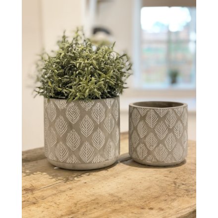 A chic and Stylish Concrete Pot in Feather Leaf Design