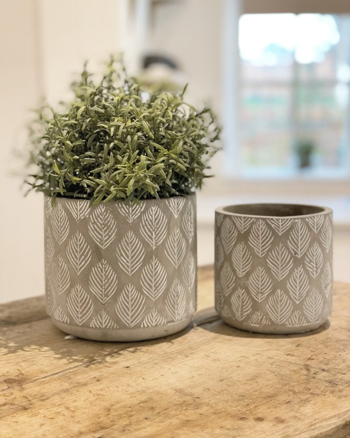 A chic and Stylish Concrete Pot in Feather Leaf Design