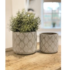 A chic and Stylish Concrete Pot in Feather Leaf Design
