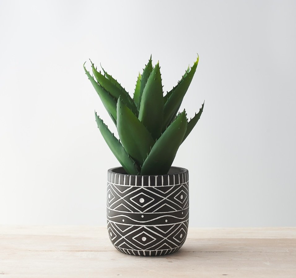 A Ceramic Black Planter Pot with White Aztec Design