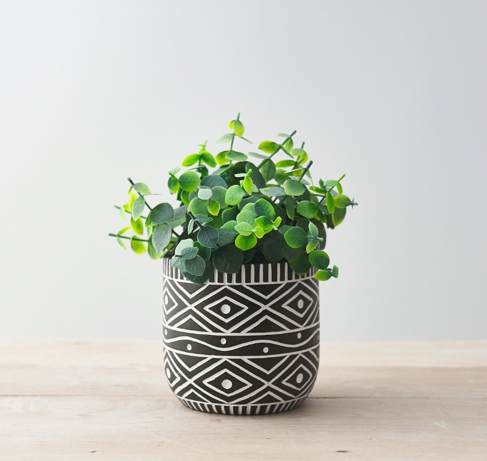 A Unique Planter with White Aztec