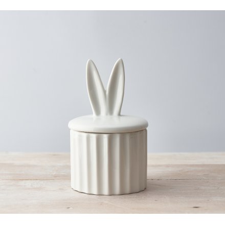 A beautifully simple White Storage Pot with Bunny Ears and Ridged Detailing 
