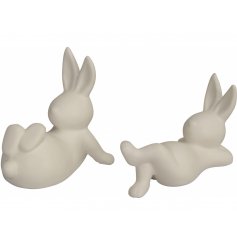 An Assortment of 2 Contemporary and Chic Bunnies