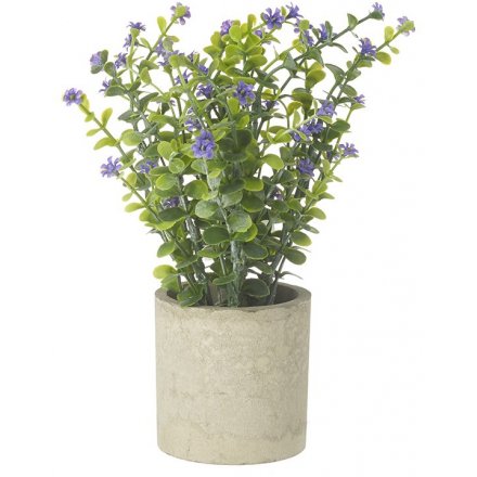Flower Planter Pot, 19cm