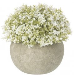 A Stylish Concrete Style Pot complete with a White and Green Plant