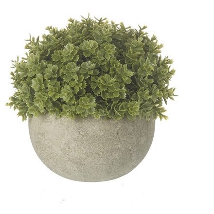 Small Green Plant in Pot, 13cm