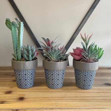3 Assorted Artificial Cactus With Flower, 20cm