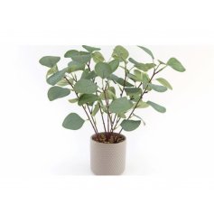 A Life Like Eucalyptus in Grey Plant Pot