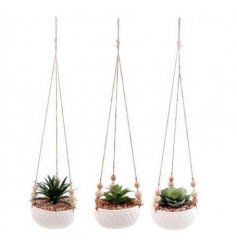 3 Assorted Neutral Hanging Baskets with Greenery