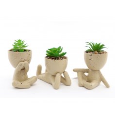 A Unique Assortment of 3 Stoneware Pots with Succulents