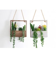 Create a Zen Garden With This Assortment of Hanging Planters
