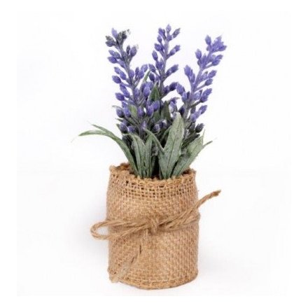 Lavender In Hessian Bag, 15.5cm