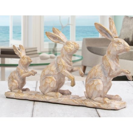 Driftwood Family Of 3 Hares