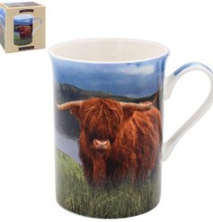 A Highland Cow Inspired Ceramic Mug
