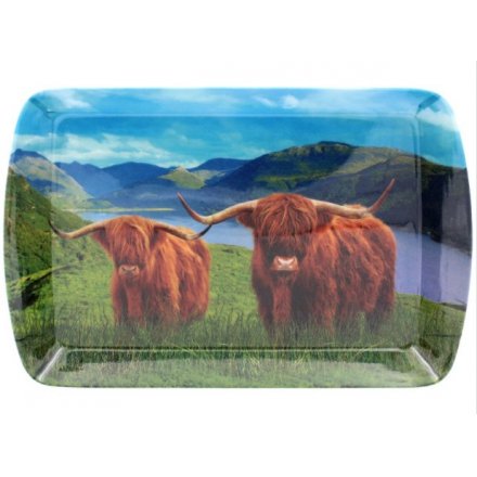 Highland Cow Tray Small