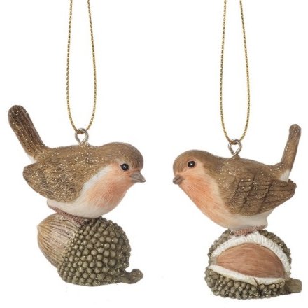Mix Of 2 Hanging Robin On Acorn