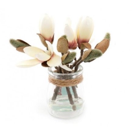 Cream Magnolia Decoration, 25cm