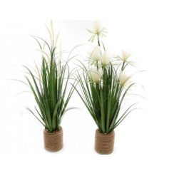 A Charming Assortment of 2 Artificial Grass Succulents