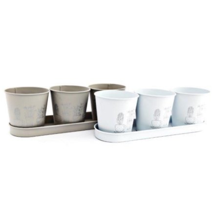 2 Assorted, S/3 Printed Pots On Tray