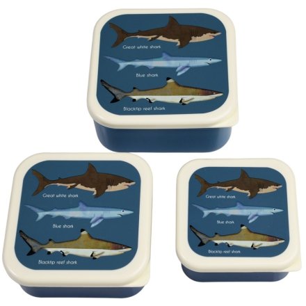 An Ocean Inspired Set of 3 Snack Boxes