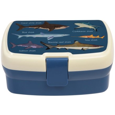 An Ocean Inspired Kids Lunch Box 