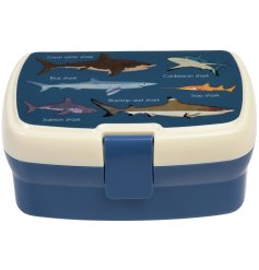 An Ocean Inspired Kids Lunch Box 
