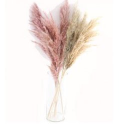 A pack of 4 blush pink, green and cream pampas grass stems. An on trend, must have interior accessory. 