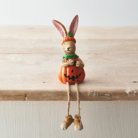 An Adorable Shelf Sitting Pumpkin Rabbit 