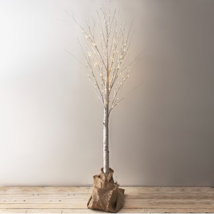 A rustic white birch tree decoration with warm glow LED lights. Set within a festive jute sack. 