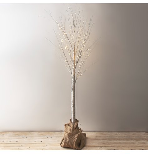 A rustic white birch tree decoration with warm LED lights and a stylish jute sack base. 