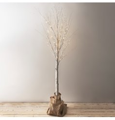 Stay on trend with this contemporary white birch tree with warm glow LED lights.