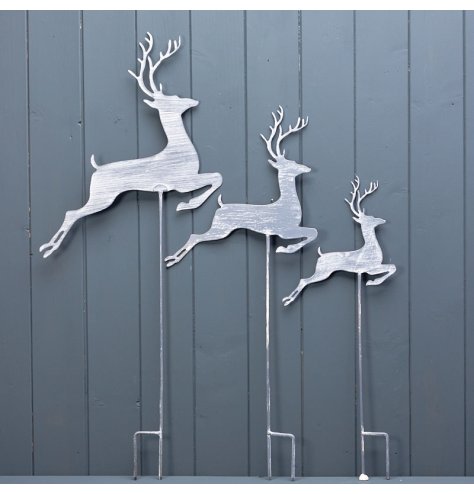 A set of 3 dancing reindeer picks made from rustic metal. A quick and simple way to add festive cheer to the garden