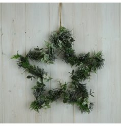 A star shaped hanging wreath with mixed frosted foliage. 