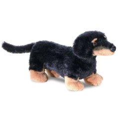 A lovely little Dachshund soft toy
