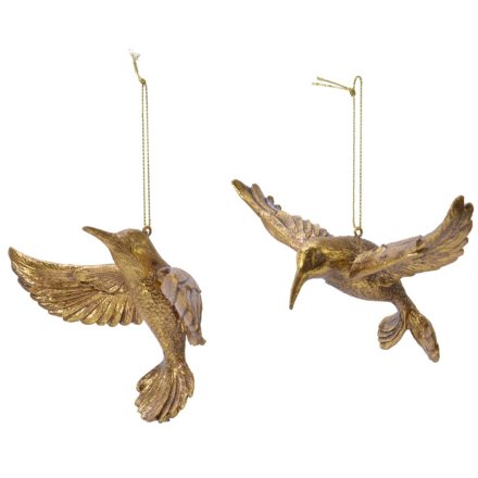 Assortment of 2 Gold Hummingbird Hangers