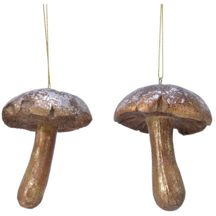 2 Assorted Mushroom Hangers