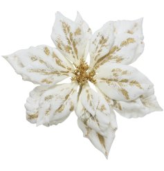 A beautiful white velvet poinsettia clip flower