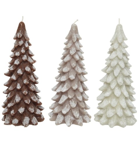 These frosty Christmas tree shaped candles come in an assortment of 3 natural colours