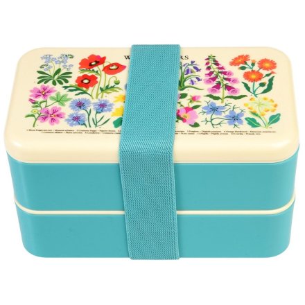 A Charming Plastic Lunch Box
