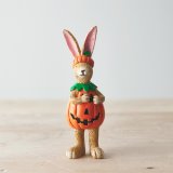 An adorable standing rabbit in a pumpkin costume
