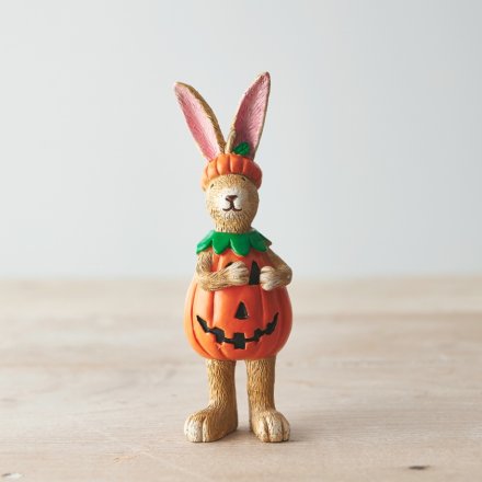 14cm Standing Pumpkin Rabbit