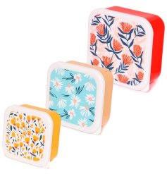 Pick of the Bunch Snack Boxes, Set of 3