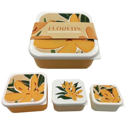 Set Of 3 Lunch Box Snack Pots- Florens Hesperantha