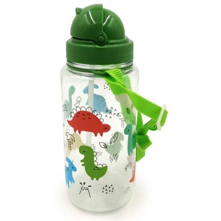 Dinosauria Jr Children's Reusable Water Bottle, 450ml