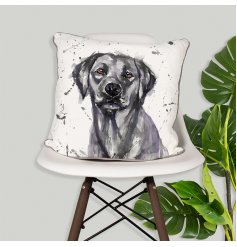A gorgeous scatter cushion