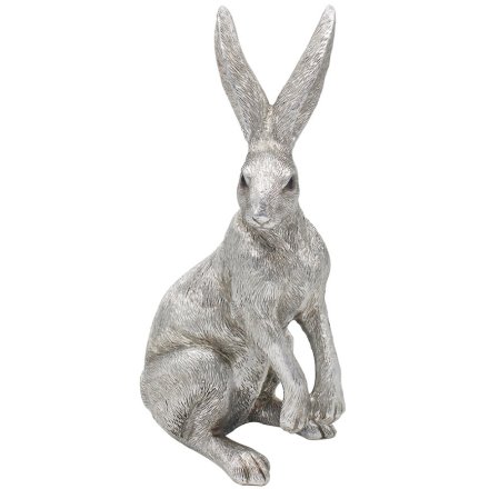 Silver Reflections Sitting Hare