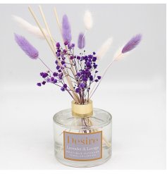 Lilac Pampas diffuser Desire 