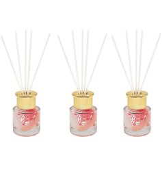 Set of 3 Pampas Diffusers Pink 
