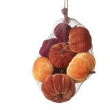 Add an autumnal addition to your home