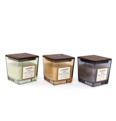 A luxury assortment of 3 fragranced candles